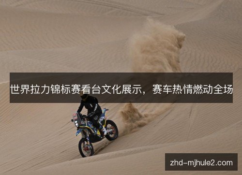 世界拉力锦标赛看台文化展示，赛车热情燃动全场